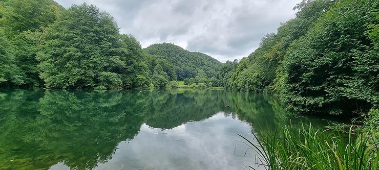 Falkensteiner