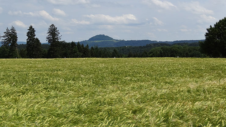 Hohenstaufen