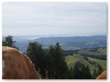 2019-08-16_Nagelfluh_69