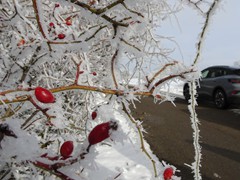 2023-01-29 SAV Winterwanderung_003