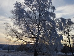 2023-01-29 SAV Winterwanderung_027