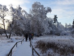 2023-01-29 SAV Winterwanderung_028