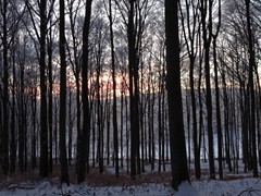 2023-01-29 SAV Winterwanderung_034
