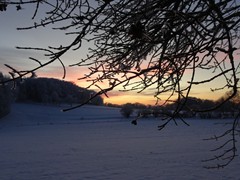 2023-01-29 SAV Winterwanderung_041