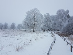 2023-01-29 SAV Winterwanderung_054