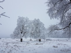 2023-01-29 SAV Winterwanderung_055