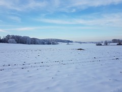 2023-01-29 SAV Winterwanderung_057