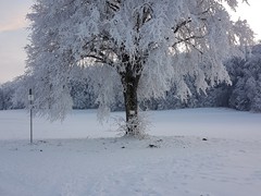 2023-01-29 SAV Winterwanderung_058
